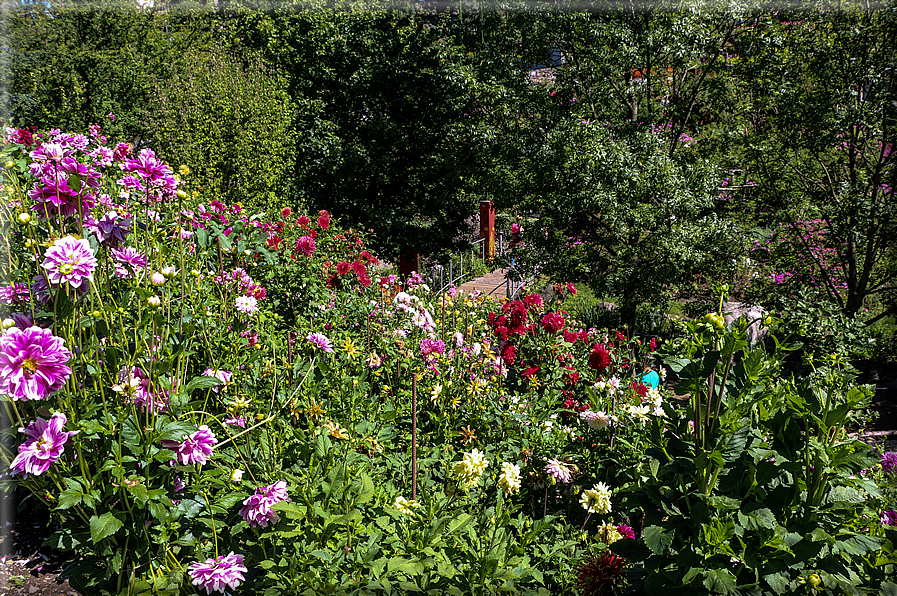 foto Giardini Trauttmansdorff - Paesaggi dell'Alto Adige